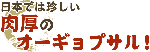 日本では珍しい肉厚のオーギョプサル！